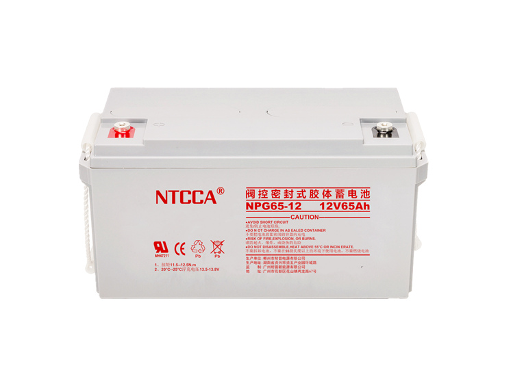 NTCCA恩科电池NPG65-12